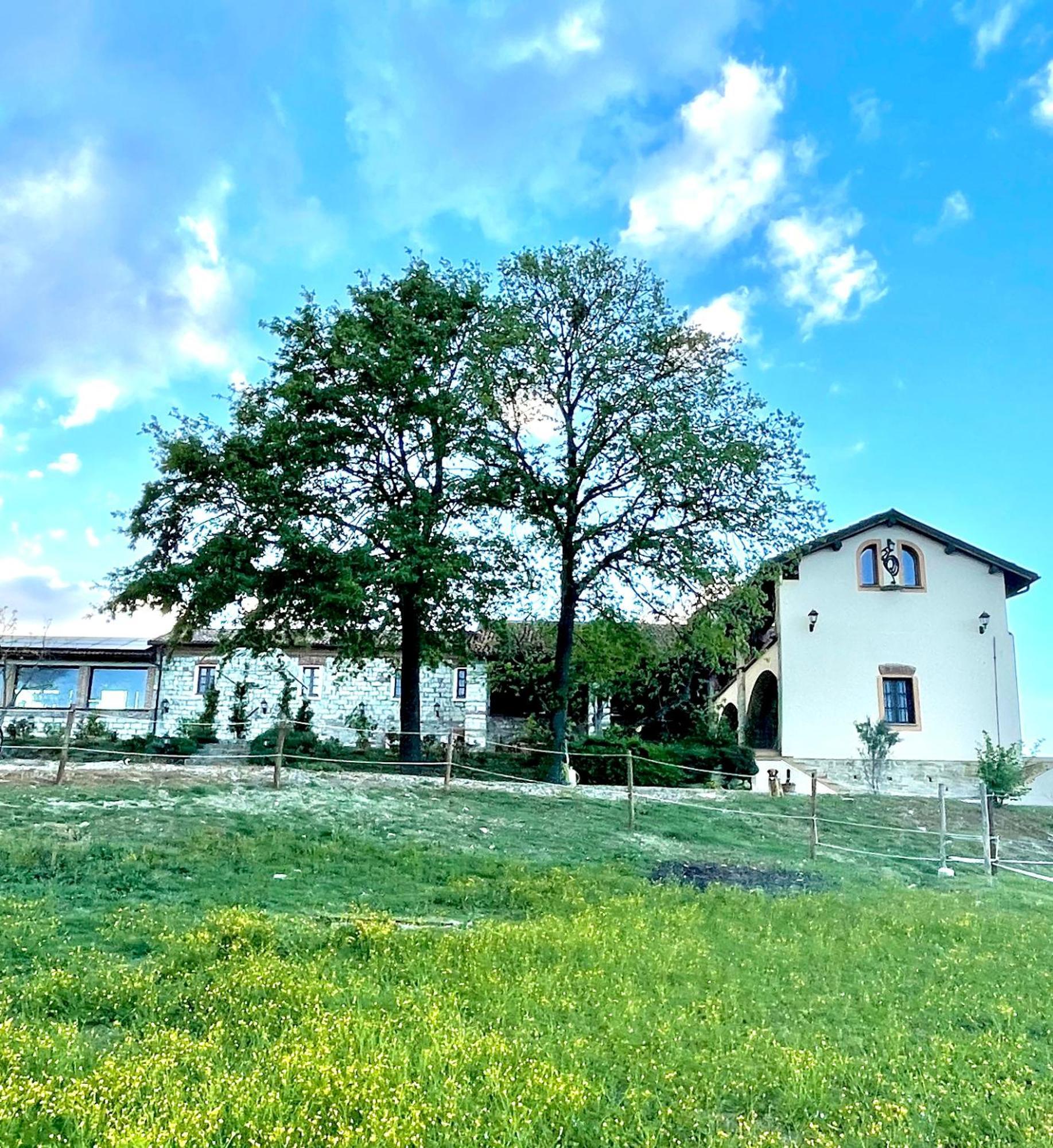 B&B Tenuta Il Galletto Casale Monferrato Kültér fotó